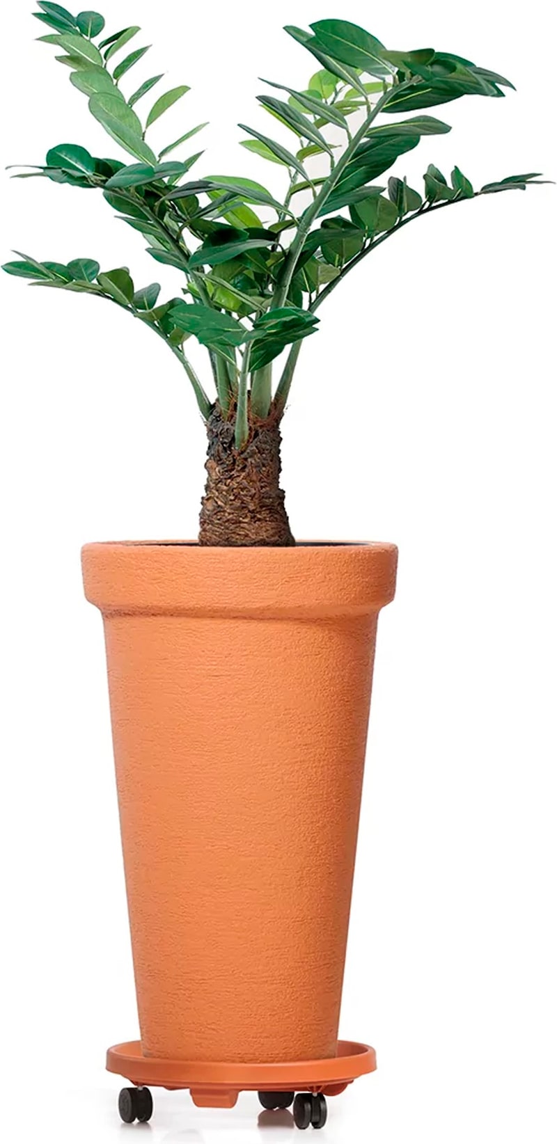 mobile_image