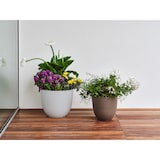 thumbnail of TERA eleganter OVER Blumentopf, Polyethylen-Pflanzgefäß für drinnen/draußen, 5mm Dicke, raue Oberfläche, Wasservorrat, Durchmesser 38cm, schwarz