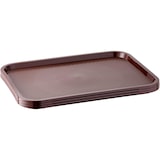 thumbnail of APS Fast Food tray 35 x 27 cm, h: 2 cm