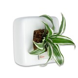 thumbnail of Box 1 - weiß - 16x16 cm