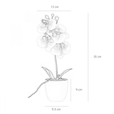 thumbnail of LIGNE DÉCO Orchidée artificielle blanc-fuchsia 35cm