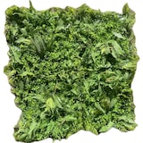 thumbnail of BALI | Paneles Pared Selva Artificial | Plantas Artificiales Montaje en Pared Selva Tropical | Paneles Pared Hostelería Peluquería Interior Exterior