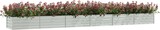 thumbnail of vidaXL Garten-Hochbeet 600x80x45 cm Verzinkter Stahl Silber
