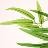 thumbnail of Pianta artificiale Bambù verde 180cm | Naturing Monde - Interno - Tronco naturale