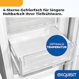 thumbnail of Exquisit Kühl-Gefrierkombination KGC320-95-E-040E inoxlook | 315 l Nutzinhalt | Edelstahloptik
