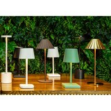 thumbnail of Stylepoint - Delfter Leuchte TL1003 (gold) 8x35cm