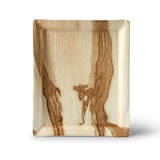 thumbnail of greenbox - Bandeja Palmware® 32,5 x 26,5 cm, ½ gastro estándar, 25 piezas.