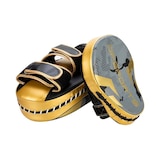 thumbnail of Set d'entrainement de boxe gris et or Arena Gants de 10 oz JARDINDECO