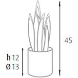 thumbnail of King Home Pianta Sansevieria in polietilene 12 foglie verde