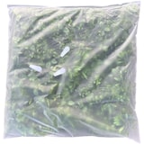 thumbnail of GeckoWall “Jacarta” | Parede de planta de selva premium | Revestimentos de parede para hotelaria plantas artificiais | Painéis de parede tropicais