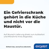 thumbnail of Exquisit Gefrierschrank, Tiefkühlschrank, Kombigerät, Kühlfunktion, 380 Liter, Schnellgefrieren, Schnellkühlen, GS5380-NF-H-050D inoxlook