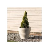 thumbnail of Pot de fleur L Moroccan effet pierre Couleur Pierre Ø58 cm x H56 cm STRATA