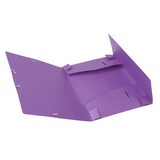 thumbnail of Exacompta - Réf. 18515H - 25 boites de classement Cartobox Dos 25mm Carte lustrée - A4 - Violet