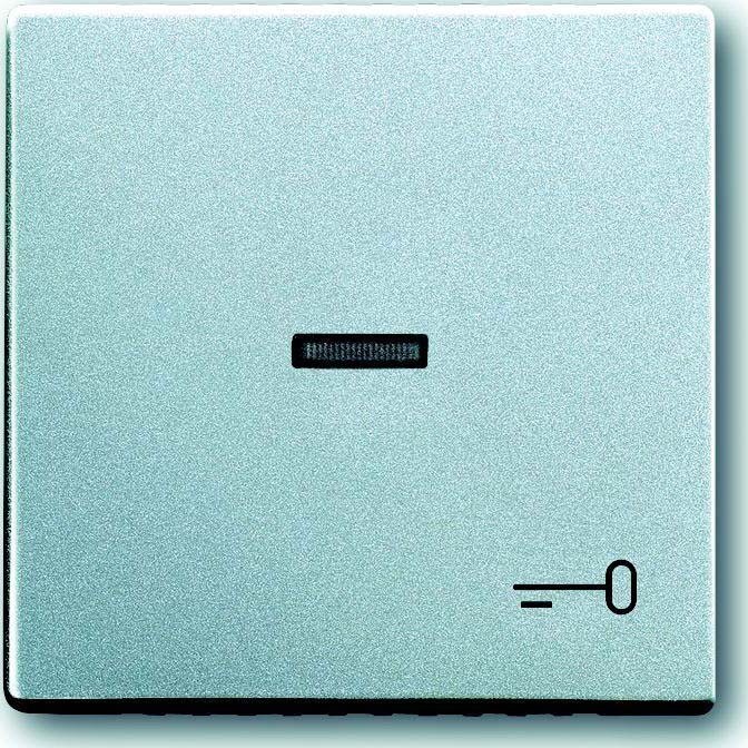 Busch-Jaeger Wippe alusi 1789 TR-83 2CKA001751A2953