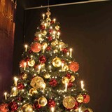 thumbnail of ROTPFEIL für innen  LED-Lichterkette 20er innen Toplampen klar 12 V/0,1 W