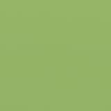 thumbnail of Wasabi - Toldo Exterior Enrollable 3x2,5 Green – Estructura Semicofre de Aluminio - Lona Acrílica Protección Solar UV