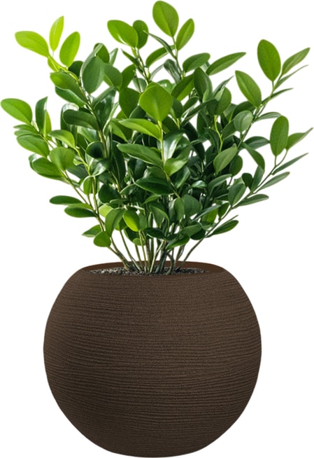 Runde Vase aus Kunstharz im Botticelli Marrone-Design für Zimmer- und Gartenpflanzen, Durchmesser 40 x 33 cm