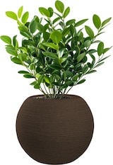 thumbnail of Runde Vase aus Kunstharz im Botticelli Marrone-Design für Zimmer- und Gartenpflanzen, Durchmesser 40 x 33 cm
