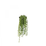 thumbnail of LIGNE DÉCO Plante succulente retombante artificielle 40cm