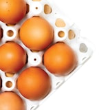 thumbnail of GILAC Alvéoles à oeufs - 30 oeufs - 300 x 300 x 90 - blanc - Blanc G671021