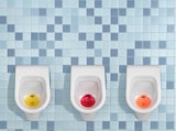 thumbnail of 12x Klo-Igel Urinaleinleger (Pissoirsieb, Pissoireinsatz, Urinalsieb) Kirsche: "Voulez-vouz coucher avec moi, pissoir?"