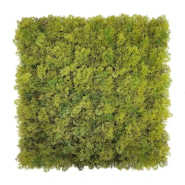 Jardín vertical artificial de musgo Bonerva Musgo Plus pack 4 paneles 50x50 cm 1 m² pared vegetal decorativa interior sin mantenimiento
