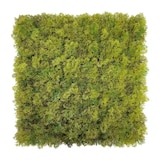 thumbnail of Jardín vertical artificial de musgo Bonerva Musgo Plus pack 4 paneles 50x50 cm 1 m² pared vegetal decorativa interior sin mantenimiento