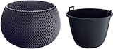 thumbnail of Prosperplast - Runde Pflanztöpfe mit Reservoir Splofy Bowl aus Kunststoff in Anthrazit, 29 x 29 x 19 cm
