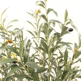 thumbnail of Künstlicher Olivenbaum Rebecca Mobili Garnet 150x45x45 Polyester Holz Grün Braun