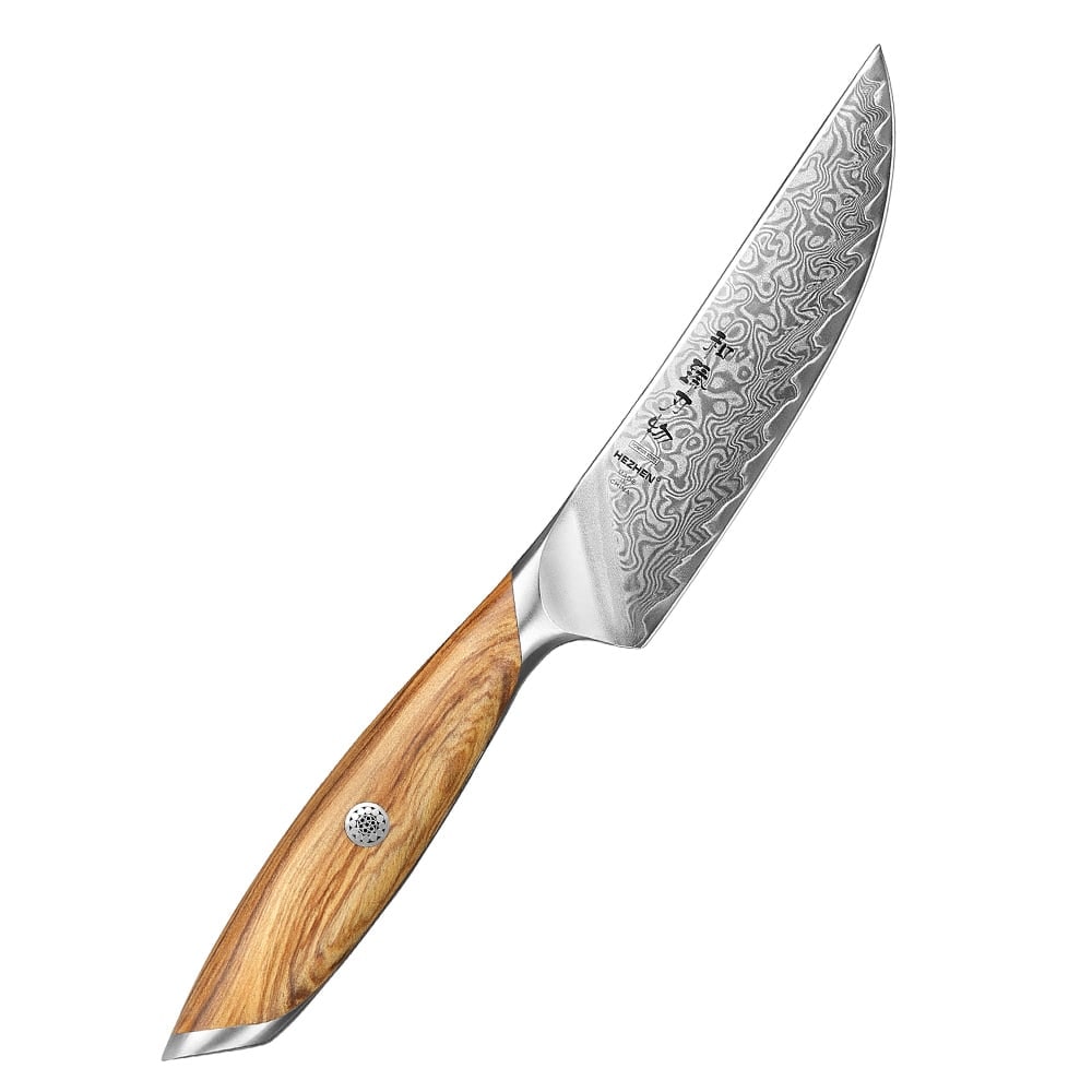 Hezhen - Damascus Steakmes - X01 Flagship series