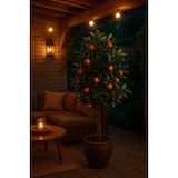 thumbnail of NATURN LIVING Planta artificial Naranja Enana - ø 65 x 125 cm - Plástico Cítricos - Naranja