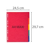 thumbnail of Exacompta 2105E 50x Register aus Recyclingkarton 220g, 5 Positionen, für Format DIN A4+ - Farben sortiert
