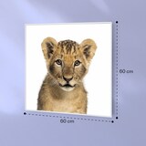 thumbnail of Wonderwall Air Art Smart Infrarotheizung Löwe 60x60cm 350W Mehrfarbig