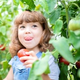 thumbnail of Relaxdays Spiralstab Tomaten, 20er Set, Tomatenstäbe 120 cm, Ø 10 mm, Metall, Tomatenstangen Rankhilfe, rostfrei, grün