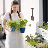 thumbnail of Relaxdays Außenthermometer analog, Gusseisen, Garten Thermometer Wand, antikes Mistgabel-Design, H x B: 30 x 9 cm, braun