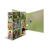 thumbnail of Herma 7202 Motivordner "Waldtiere" A4 70 mm