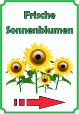 thumbnail of Sonnenblumen Schild Hochkant mit Pfeil rechts A0 Rückseite selbstklebend