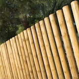 thumbnail of Tutor Madera Sin Punta 250X8