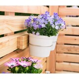 thumbnail of Hecht International 203700108-HE Kräuter Blumen Balkon Blumentopfhalter FLORES