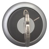 thumbnail of Eaton Schlüsseltaste M22-WRS-MS20 111779