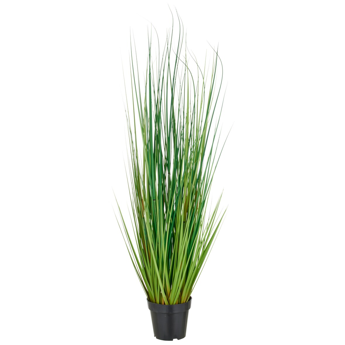 CREATIV green künstliche Pflanze Miscanthusgras im Kunststofftopf, 115 cm, UV-beständig