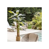 thumbnail of Bananera Artificial (210 cm)