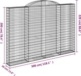 thumbnail of vidaXL Gabione mit Hochbogen 300x30x200/220 cm Verzinktes Eisen