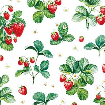Home Fashion®, Strawberry Pattern, Lunch-Servietten aufgefaltetes Maß 33 cm x 33 cm, im Viertelfalz, 20 Stück pro Pack