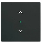 thumbnail of Busch-Jaeger 1fach Abdeckung free@home Tiefschwarz (RAL 9005), Schwarz 2CKA006220A0500 1 St.
