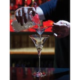 thumbnail of Coador de Cocktail Hawthorne 4 orelhas prateado