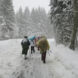 thumbnail of Relaxdays Regenponcho Einweg, 10er Set, Einmal Regencape mit Kapuze, für Erwachsene, Notfallponcho Damen & Herren, grün