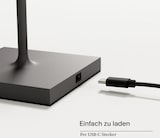 thumbnail of Doppelpack Nuindie Tischleuchte graphitgrau