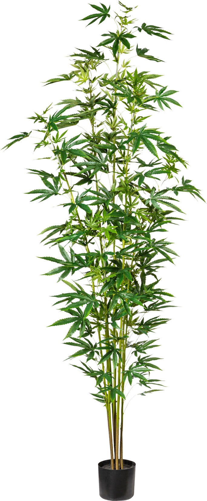 mobile_image