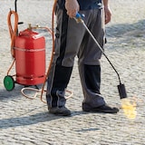 thumbnail of Relaxdays Gas Transportwagen, Transportkarre für 5 & 11 kg Gasflaschen, Propan, Vollgummireifen, Stahl, schwarz/grün